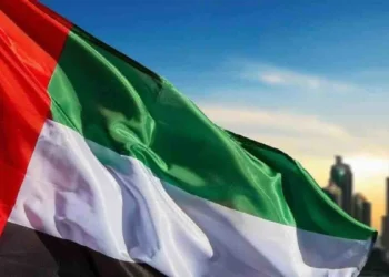 बड़ी खबर: दुबई के अल बरशा में वाहन पर मलबा गिरा, पाकिस्तानी ड्राइवर की मौत